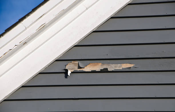 Best Historical Building Siding Restoration  in Jefferson, NC